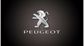Кристални Мигачи Peugeot