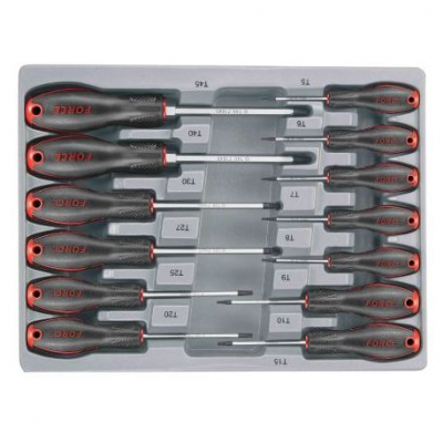 FORCE - 13PC T-SERIES COMBINATION SET TORX with a hole