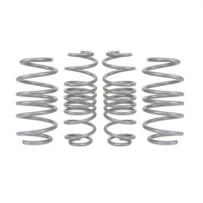 Coil Spring - lowering kit for FORD